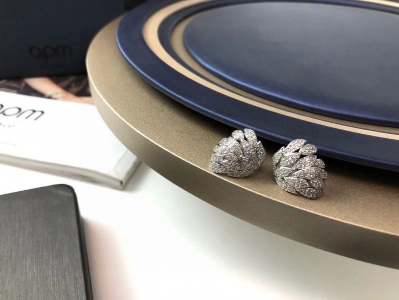 Apm Earrings GoodFit 215046
