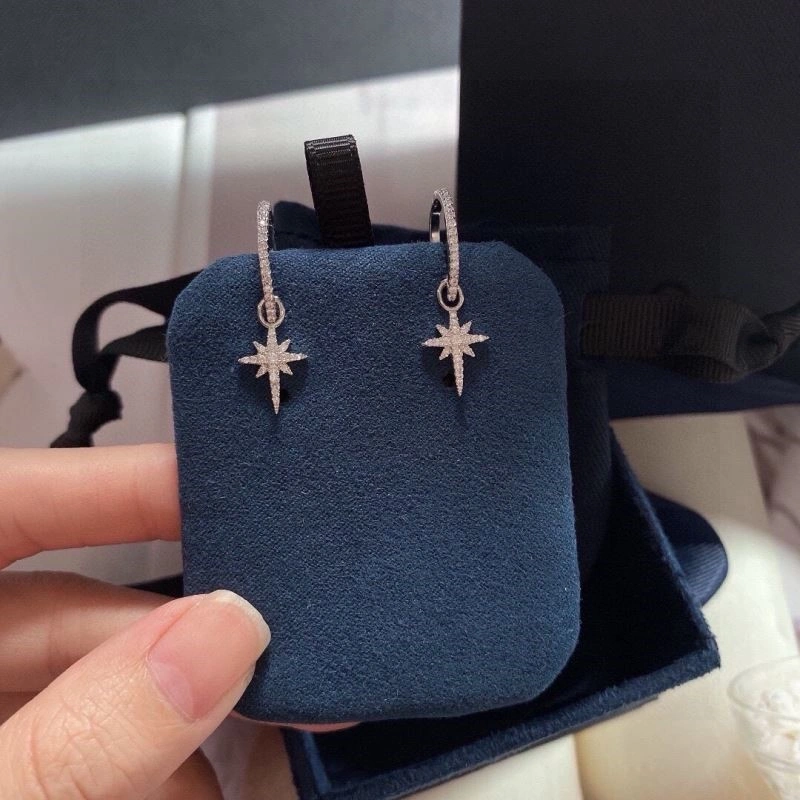 Apm Earrings Contemporary 215037