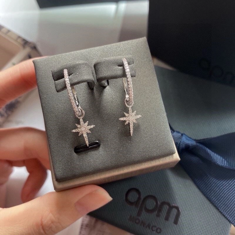 Apm Earrings Contemporary 215037