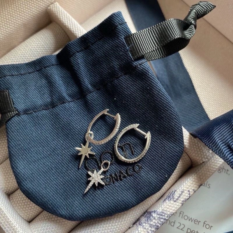 Apm Earrings Contemporary 215037
