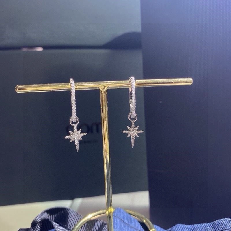 Apm Earrings Contemporary 215037