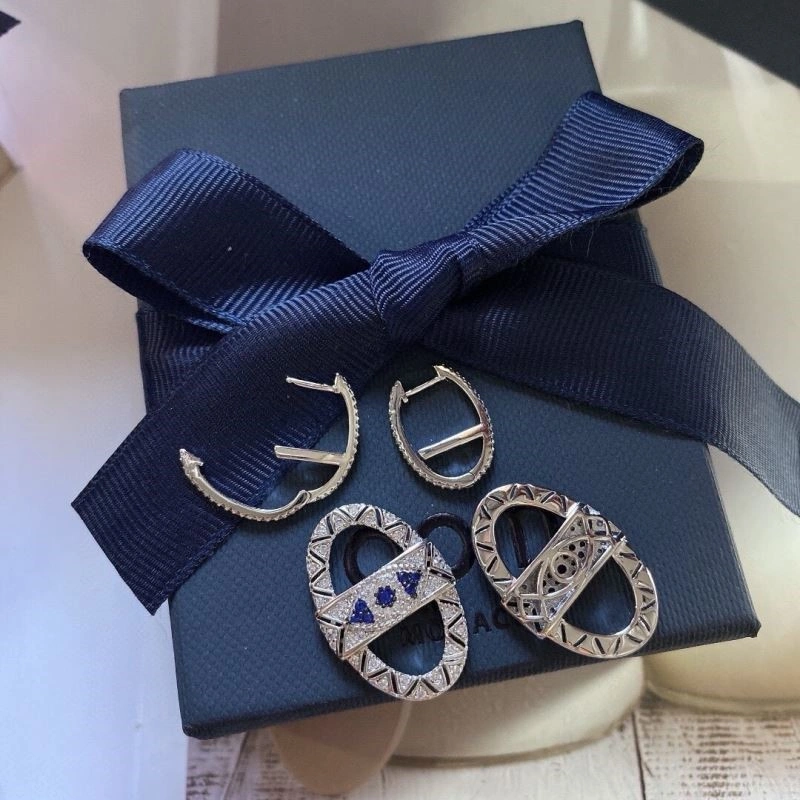 Apm Earrings Flexible 215045