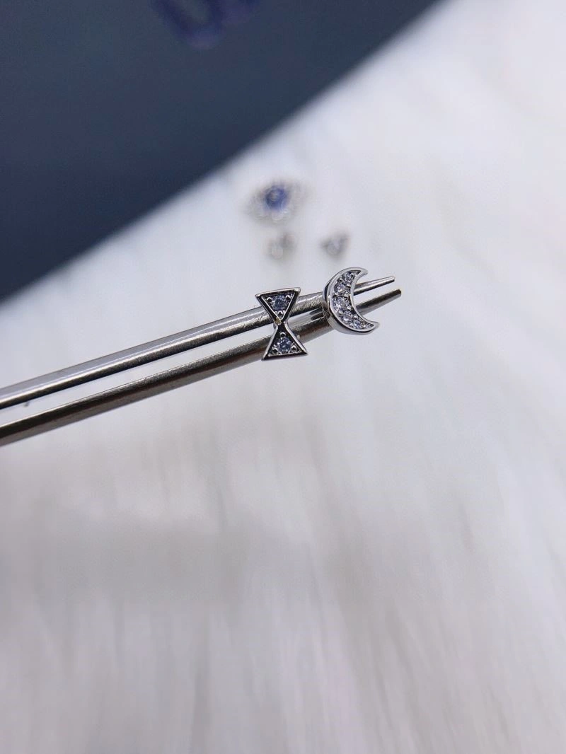 Apm Earrings Unisex 215031