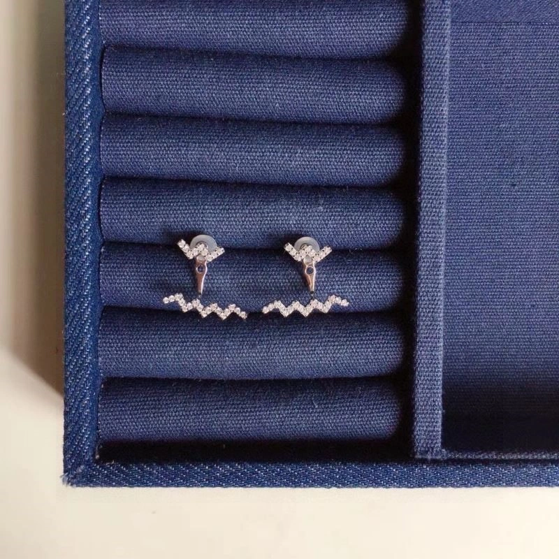 Apm Earrings SoftTouch 215049