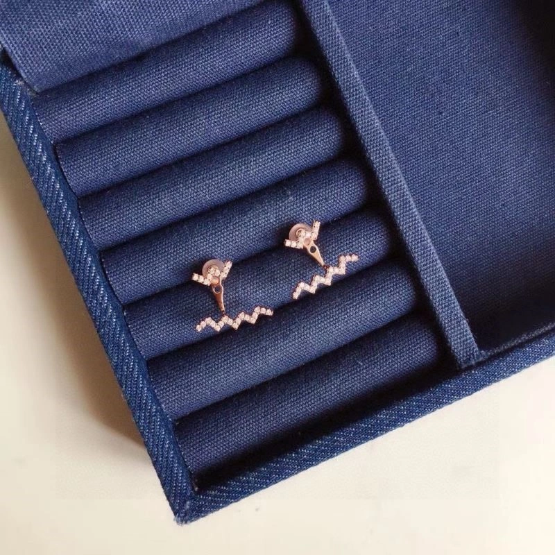 Apm Earrings SoftTouch 215049