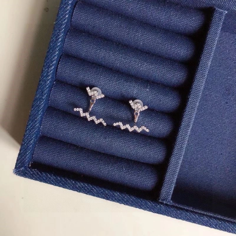 Apm Earrings SoftTouch 215049