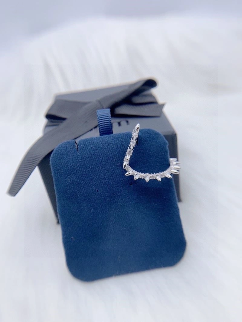 Apm Earrings Upgraded 215019