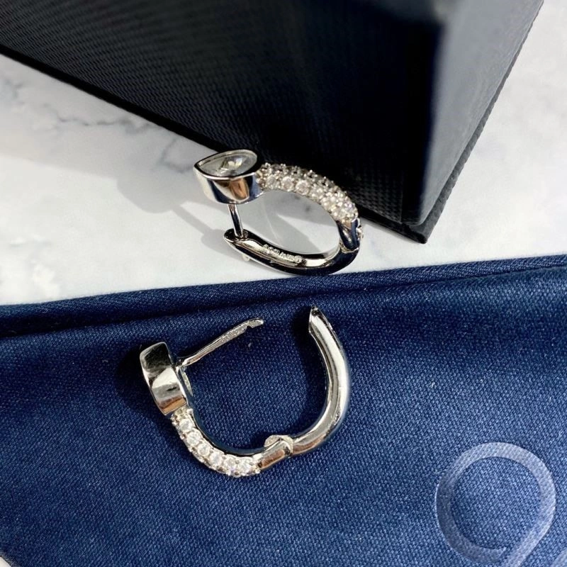 Apm Earrings Sophisticated 215020