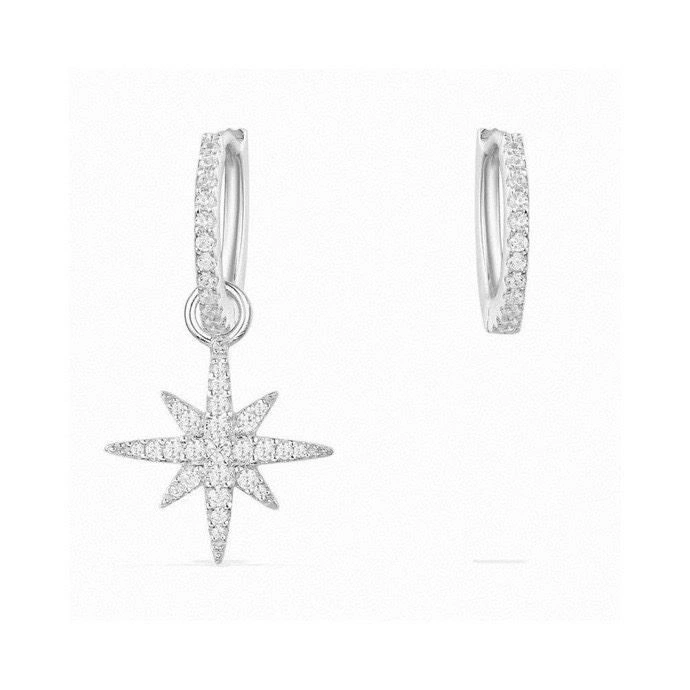Packable Apm Earrings 215011