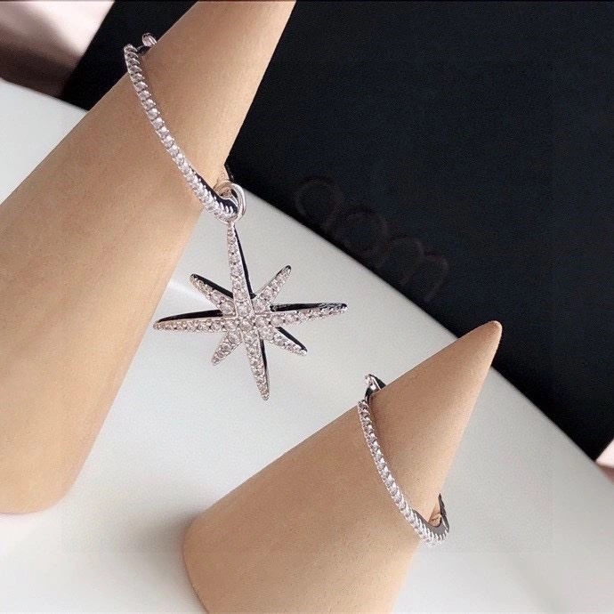 Packable Apm Earrings 215011