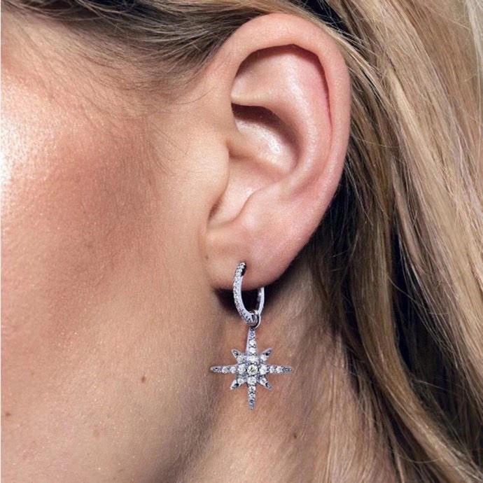 Packable Apm Earrings 215011