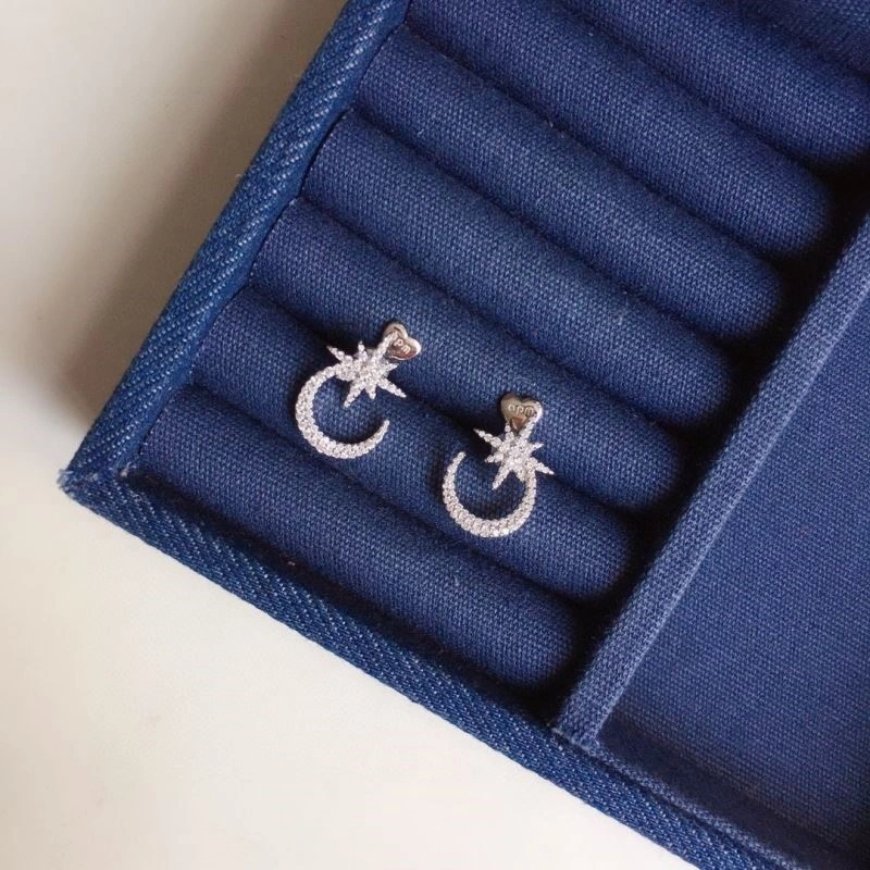 Apm Earrings OdorResistant 214995