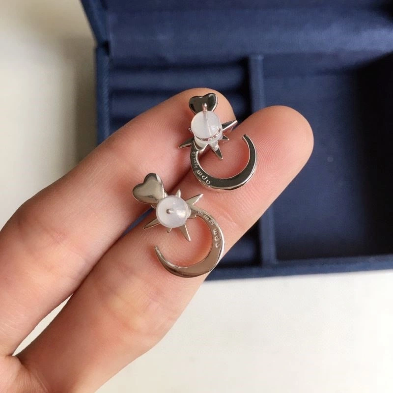 Apm Earrings OdorResistant 214995