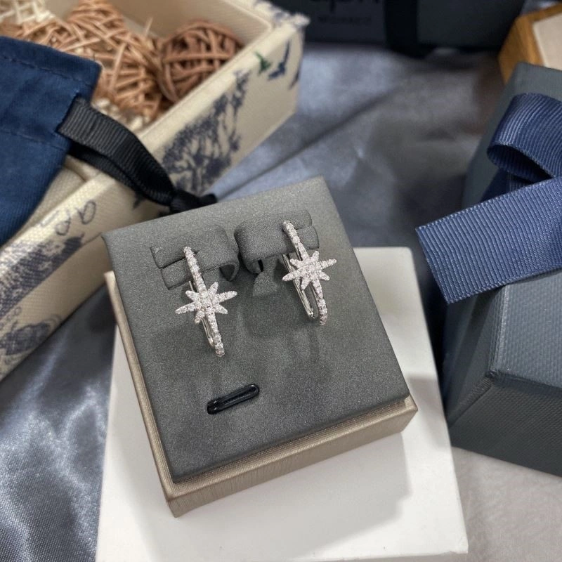 WeatherProof Apm Earrings 214931