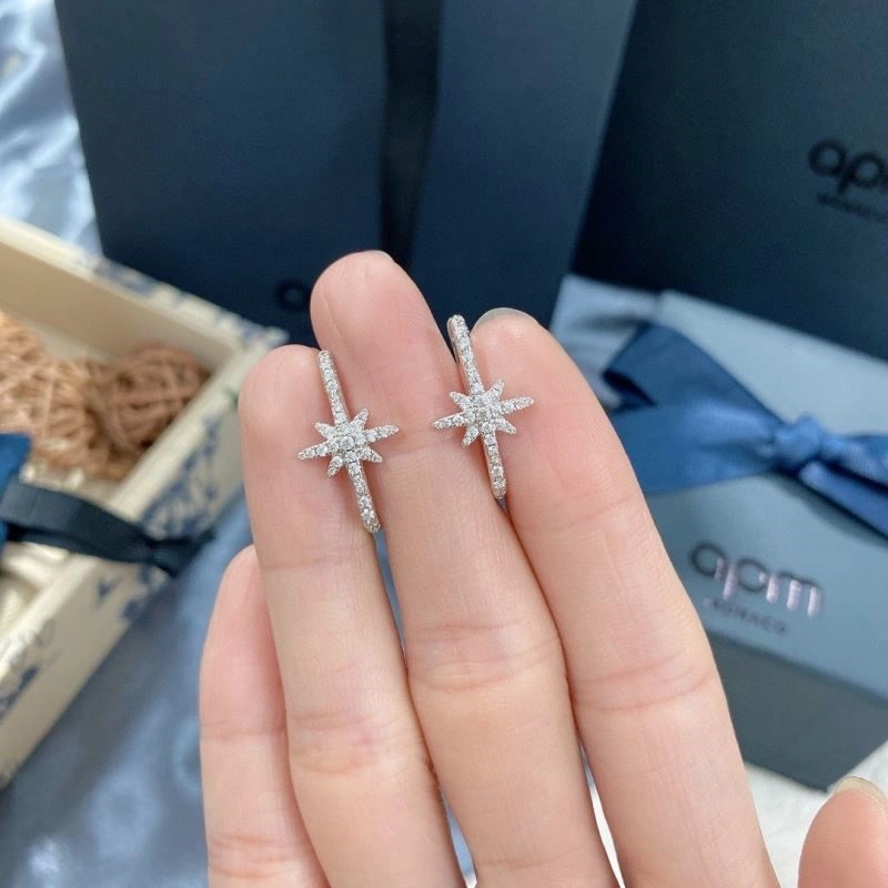 WeatherProof Apm Earrings 214931