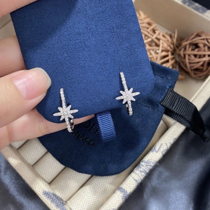 WeatherProof Apm Earrings 214931