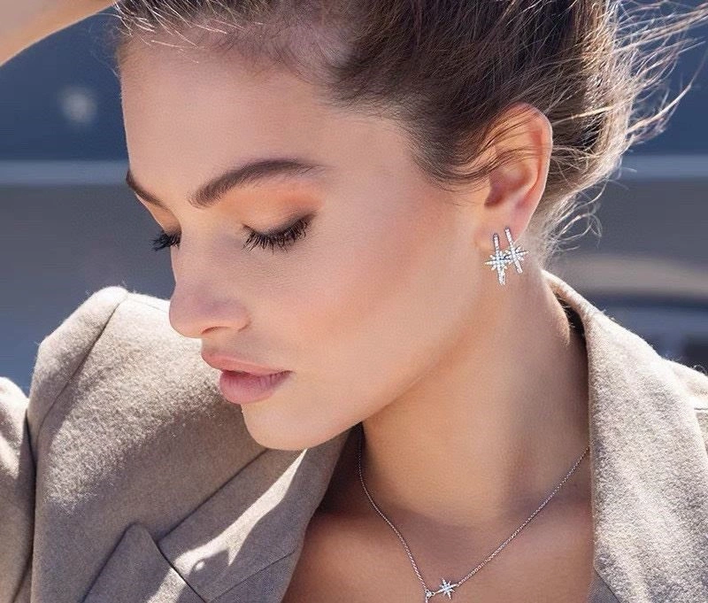 WeatherProof Apm Earrings 214931