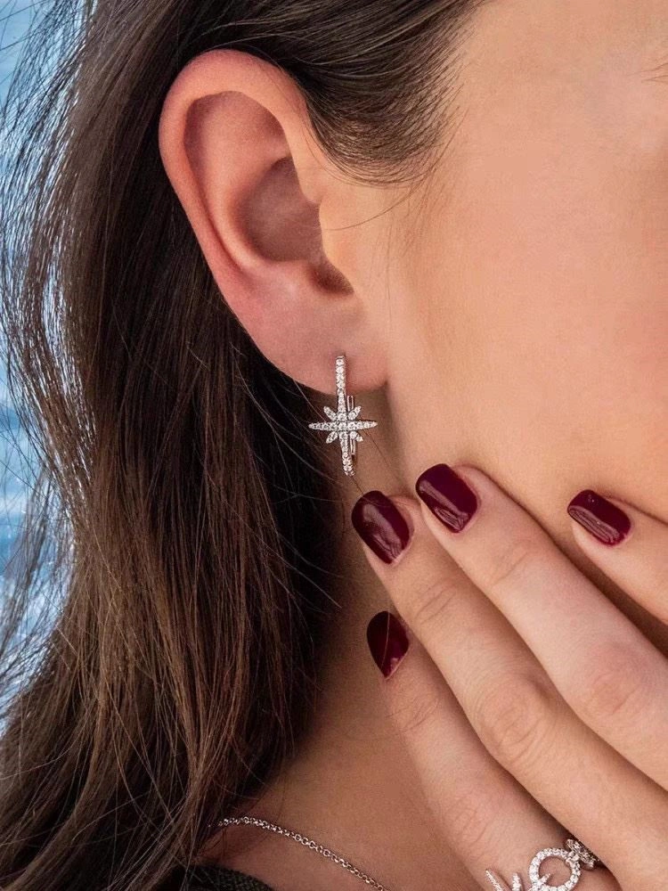 WeatherProof Apm Earrings 214931