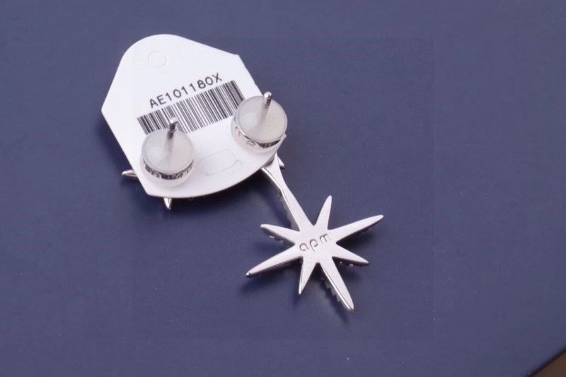 Apm Earrings GoAnywhere 214925