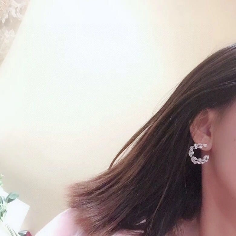 Stylish Apm Earrings 214920