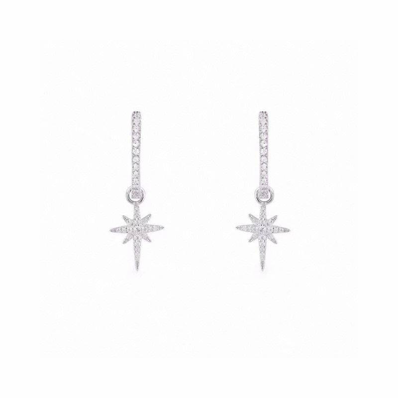Functional Apm Earrings 214922