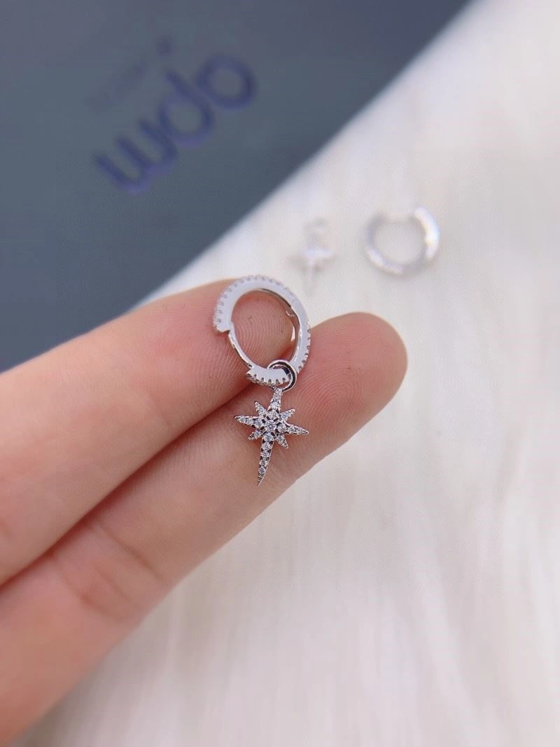 Functional Apm Earrings 214922