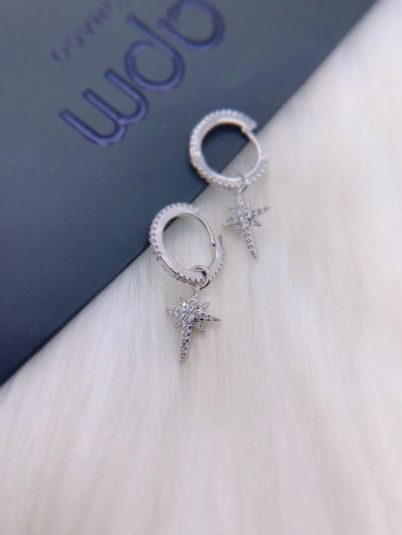Functional Apm Earrings 214922