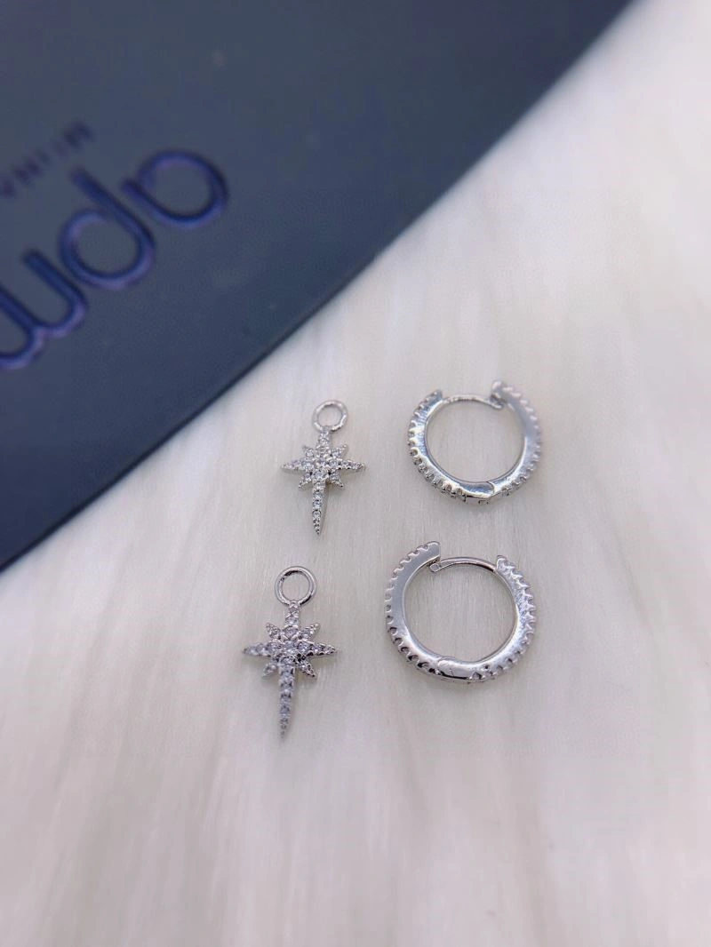 Functional Apm Earrings 214922