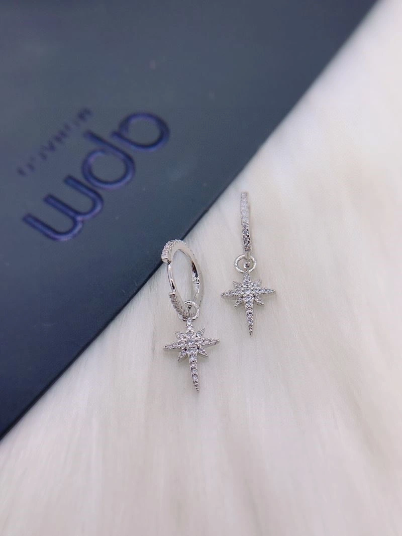 Functional Apm Earrings 214922