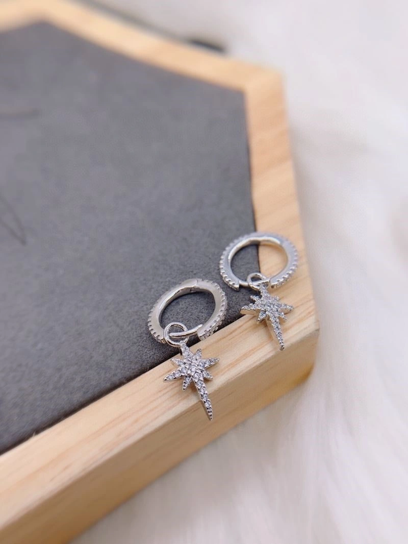 Functional Apm Earrings 214922
