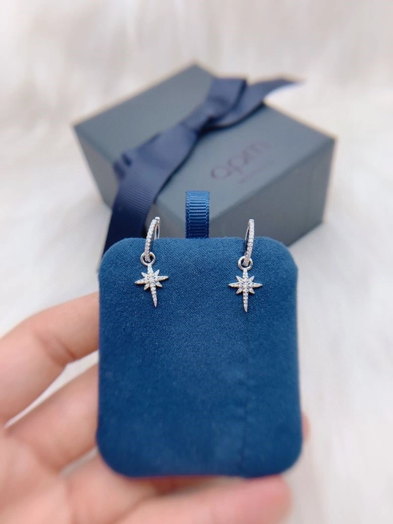 Functional Apm Earrings 214922