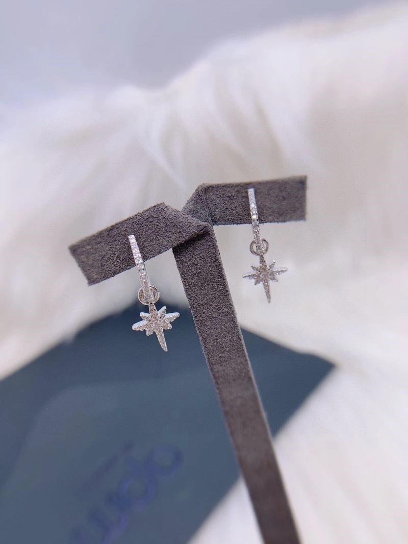 Functional Apm Earrings 214922