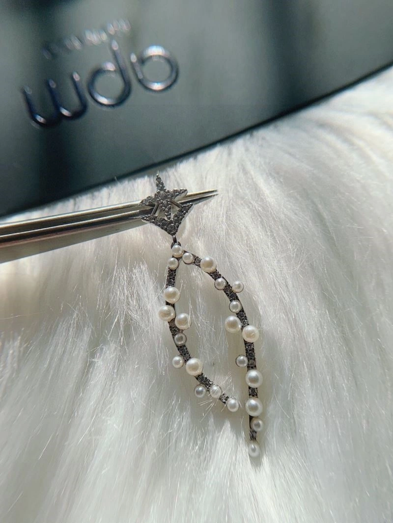 FastDry Apm Earrings 214914