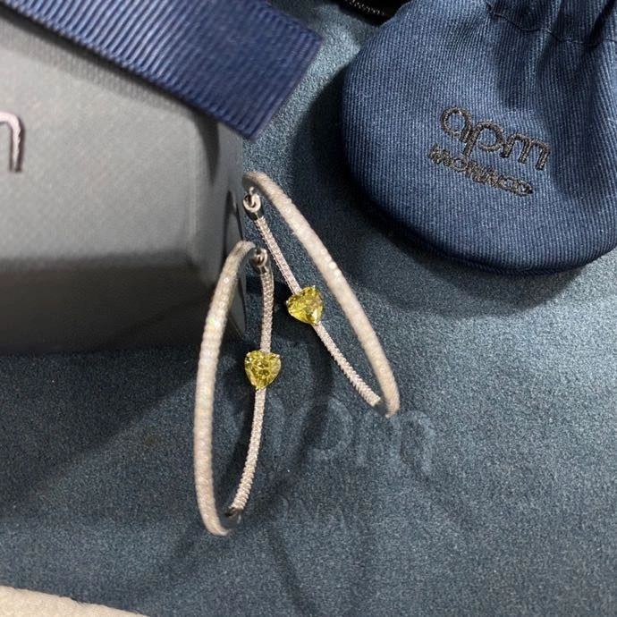 Sustainable Apm Earrings 214900