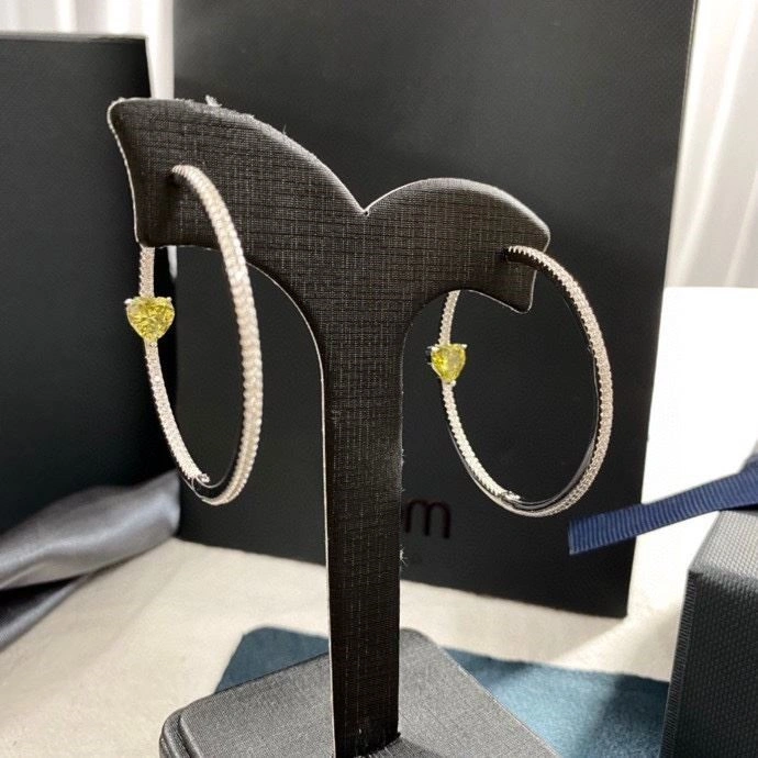Sustainable Apm Earrings 214900