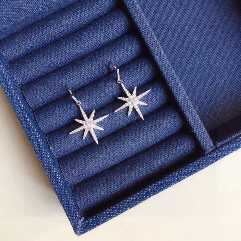 Sustainable Apm Earrings 214898