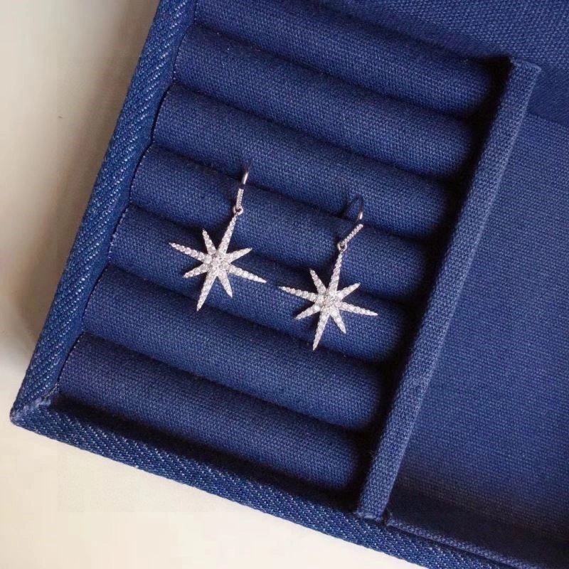 Sustainable Apm Earrings 214898