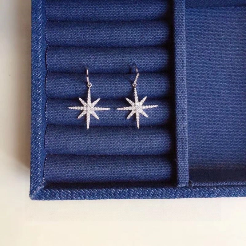 Sustainable Apm Earrings 214898