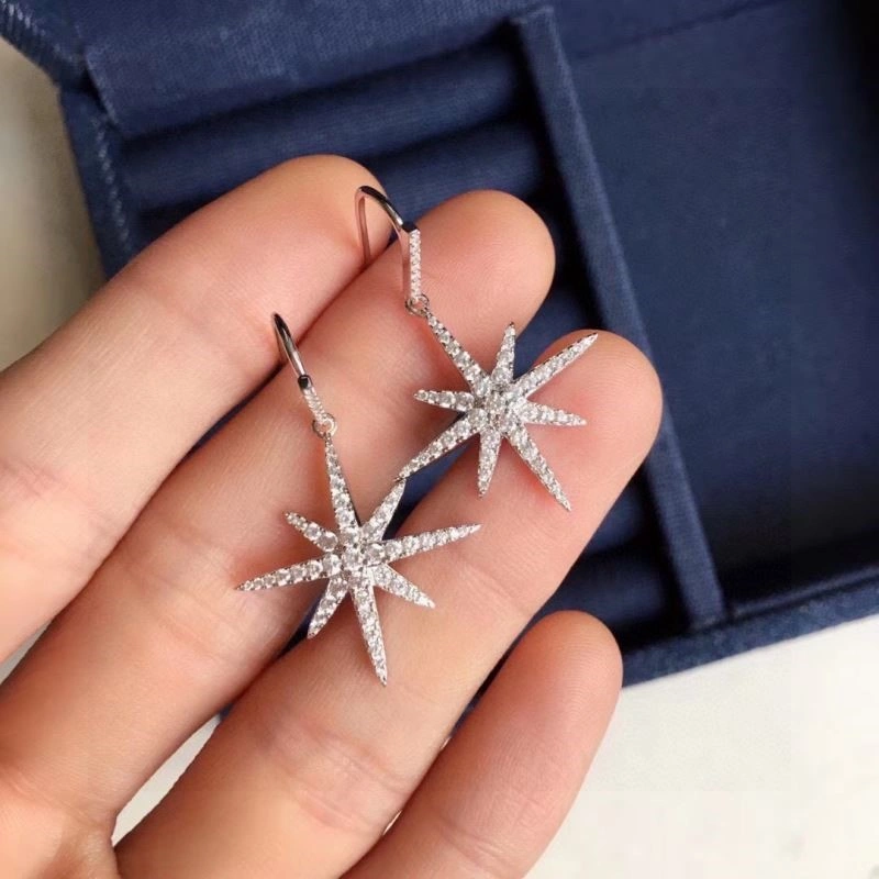 Sustainable Apm Earrings 214898