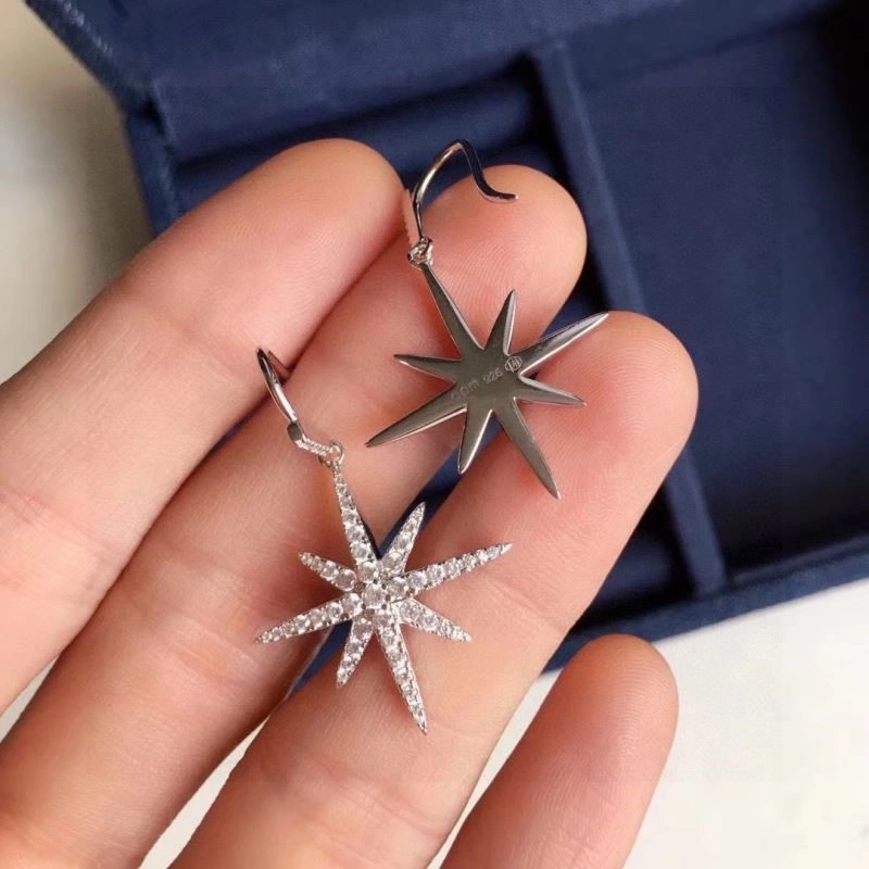 Sustainable Apm Earrings 214898
