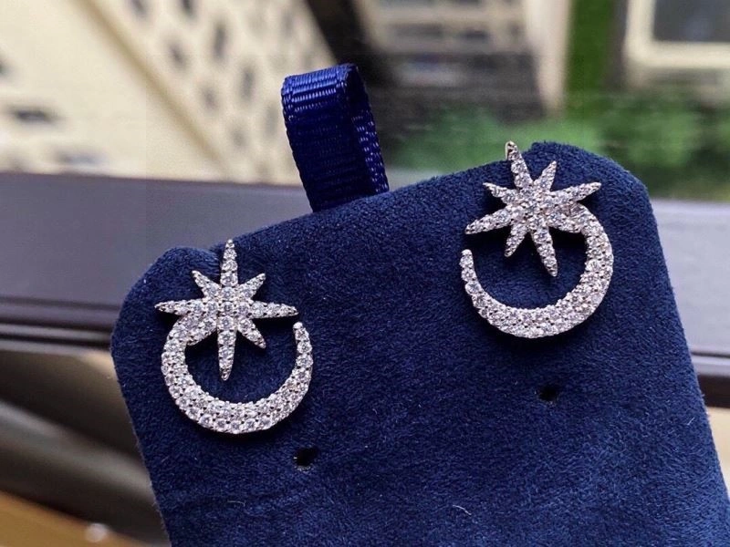 Apm Earrings ZeroBulk 214894