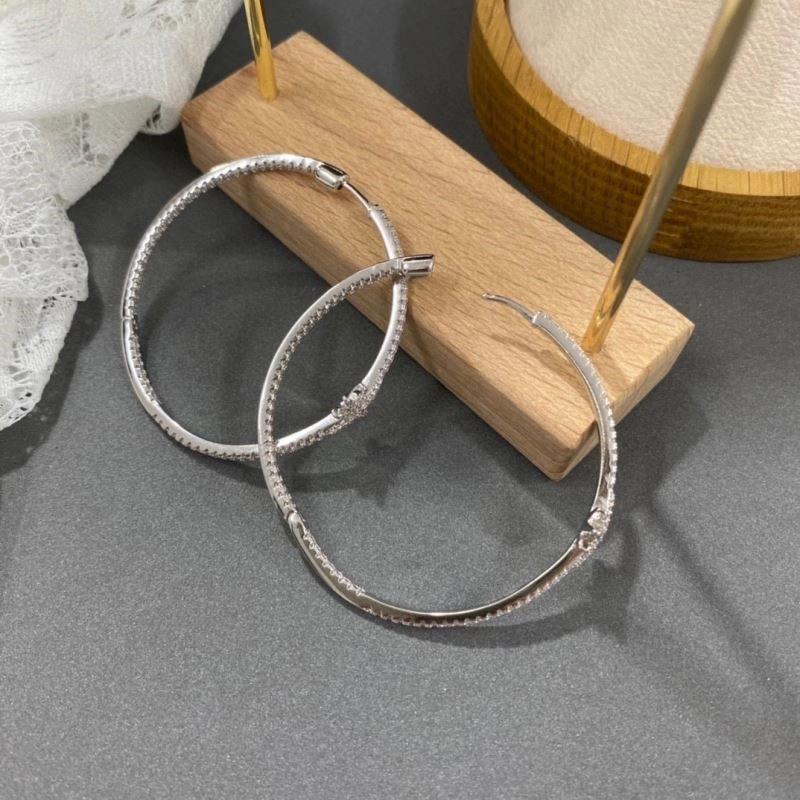 Apm Earrings Packable 214878