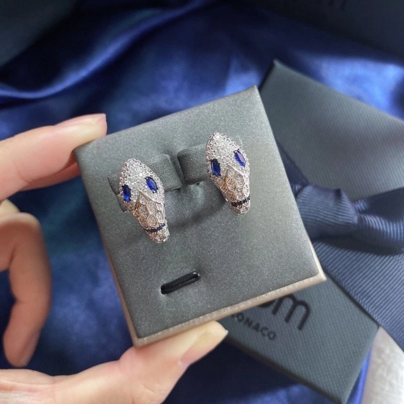 Snug Apm Earrings 214864