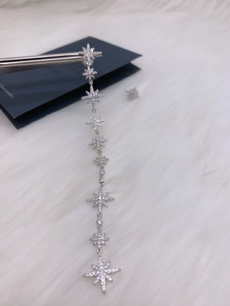Snug Apm Earrings 214807