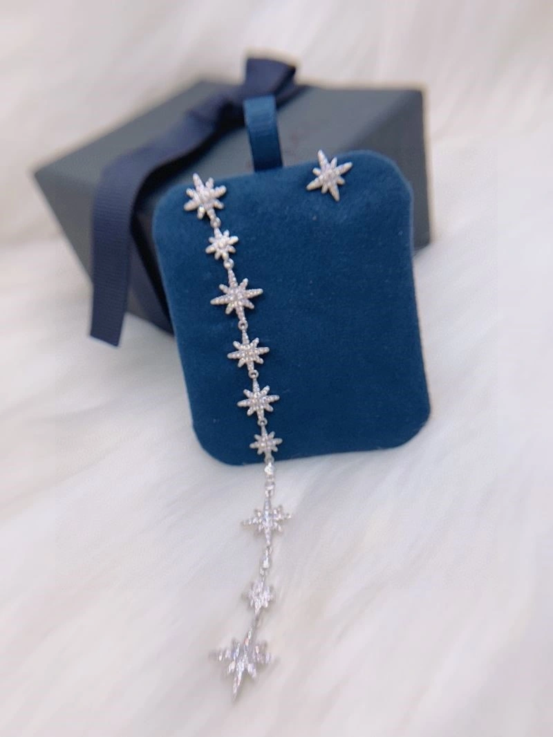 Snug Apm Earrings 214807