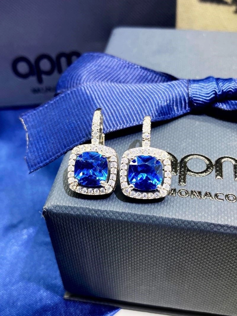 WellDesigned Apm Earrings 214806