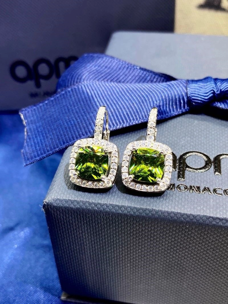 WellDesigned Apm Earrings 214806