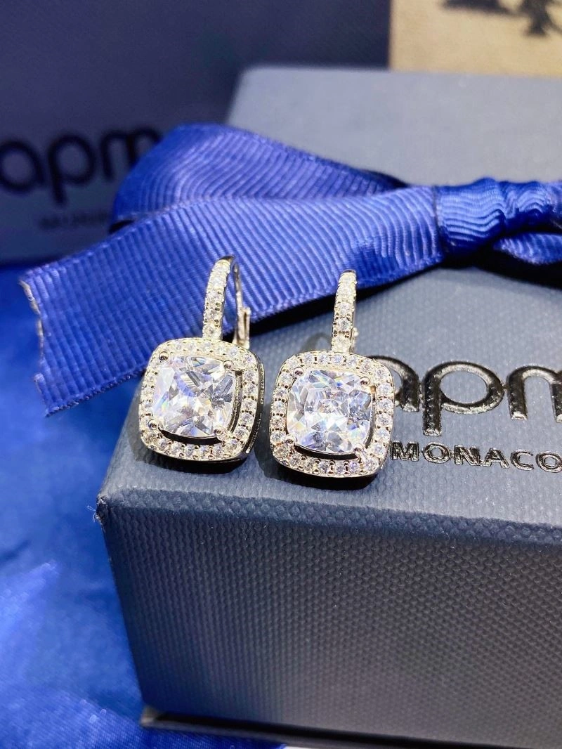 WellDesigned Apm Earrings 214806