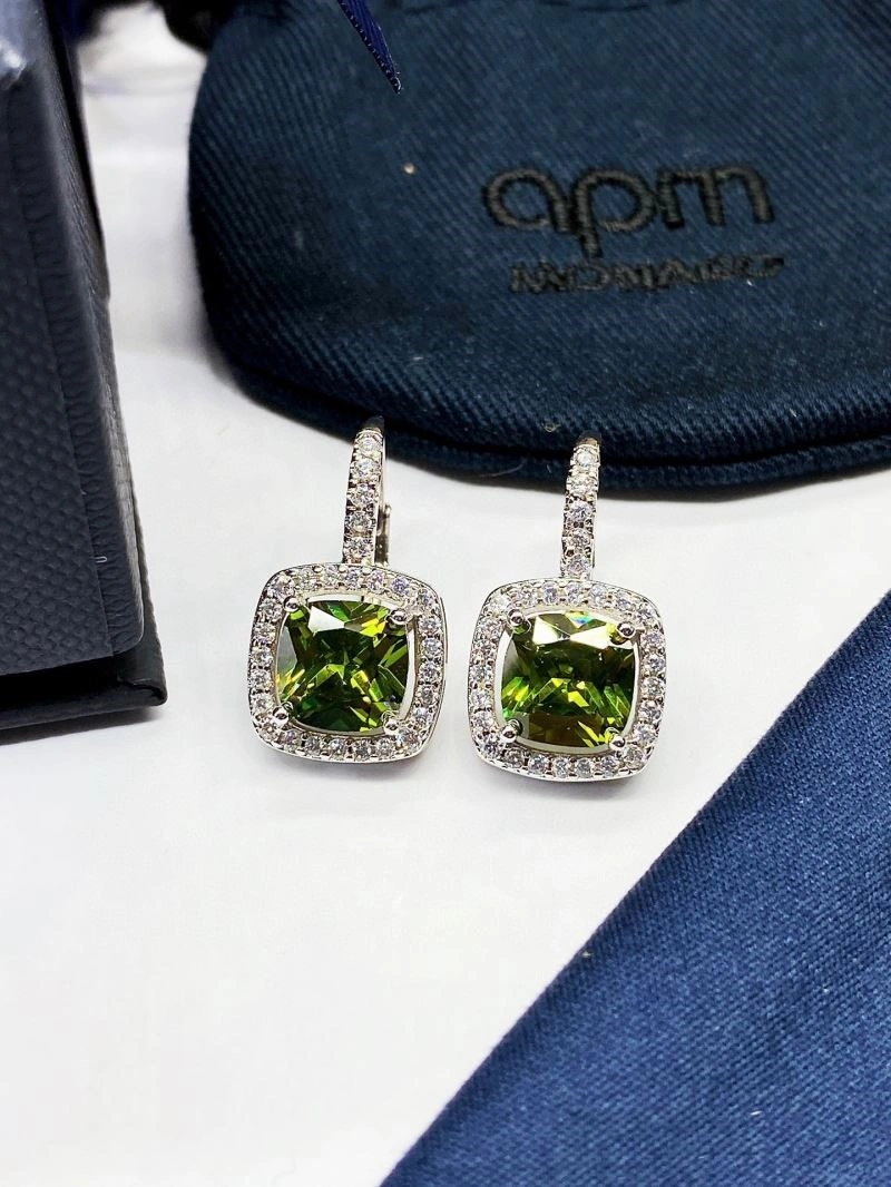 WellDesigned Apm Earrings 214806