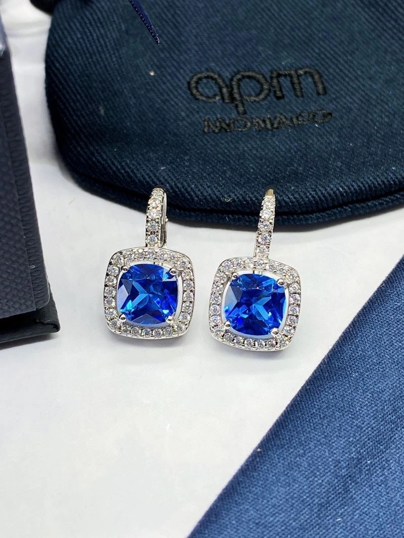 WellDesigned Apm Earrings 214806